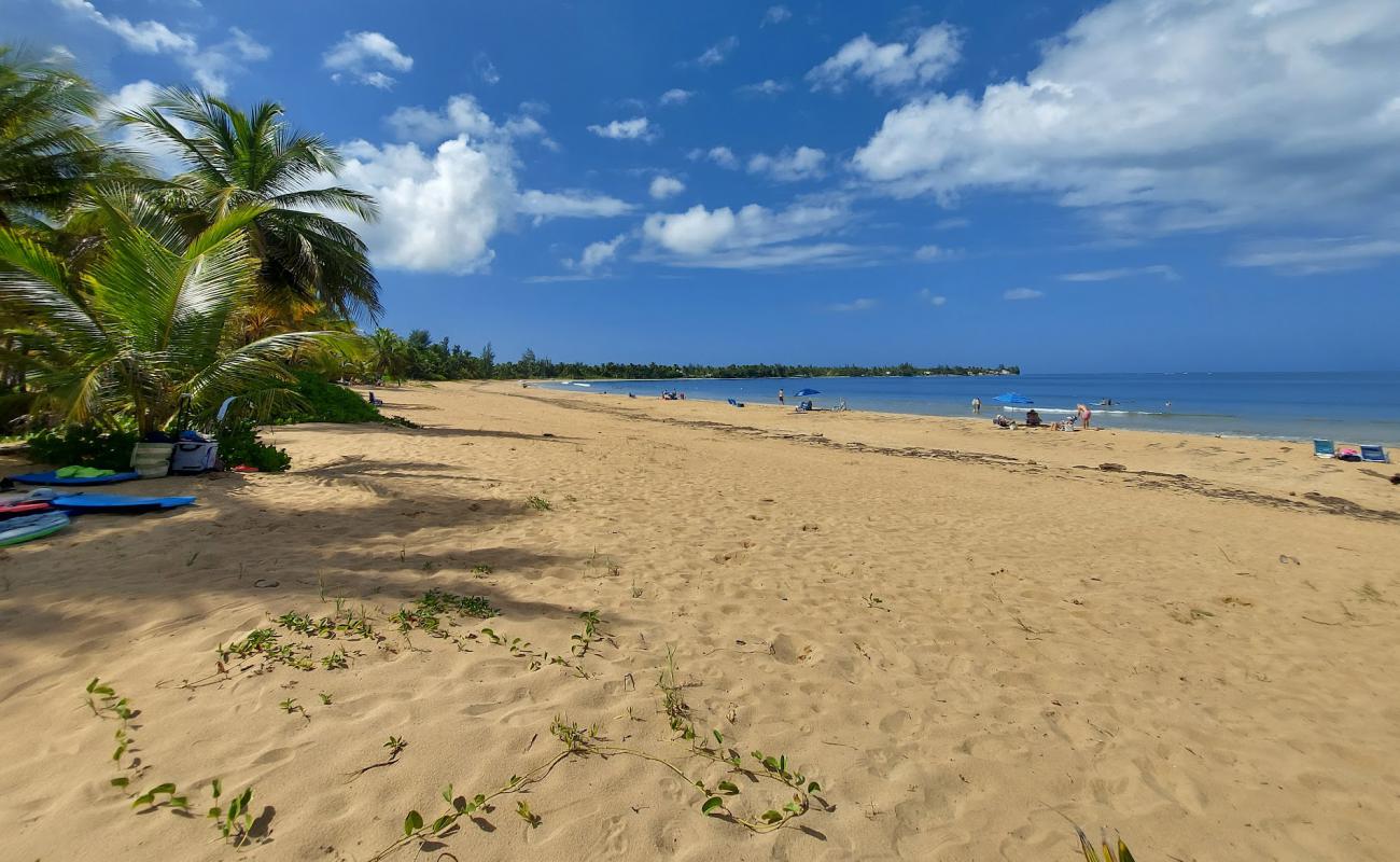 Foto de Playa las Picuas con arena brillante superficie