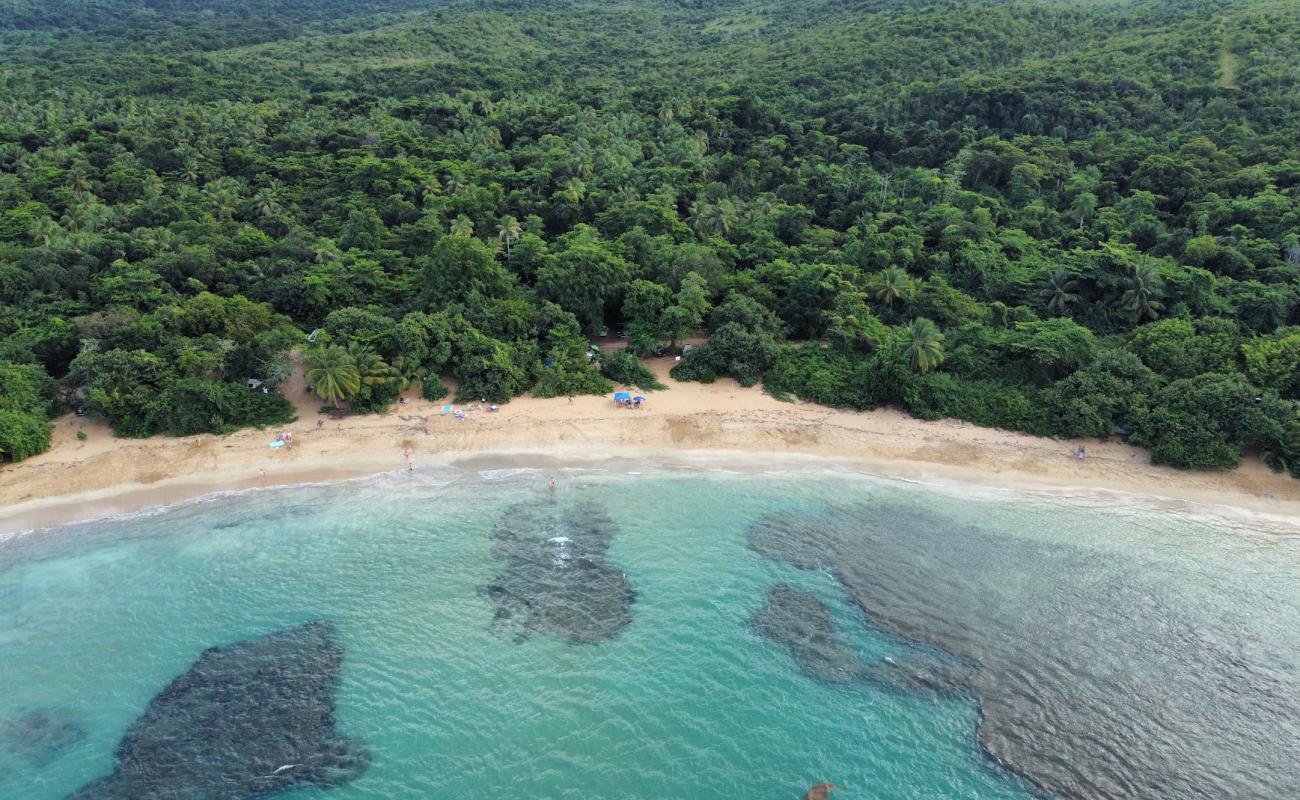 Foto de Playa La Selva con brillante arena fina superficie