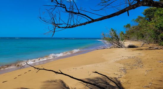 Playa Fajardo