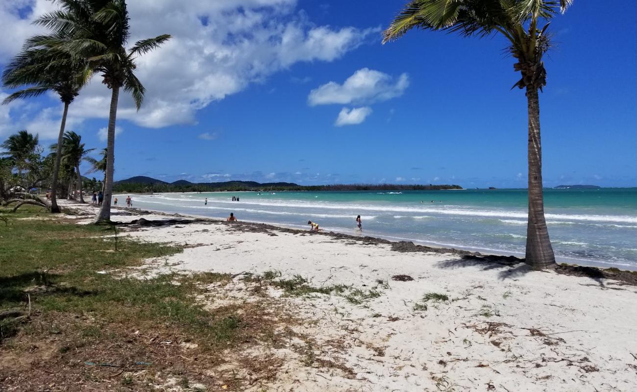 Foto de Playa Los Machos con arena brillante superficie