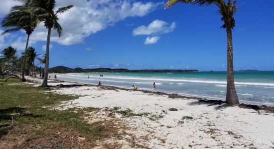 Playa Los Machos