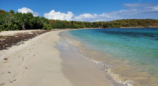 Playa Cayo Piñeiro