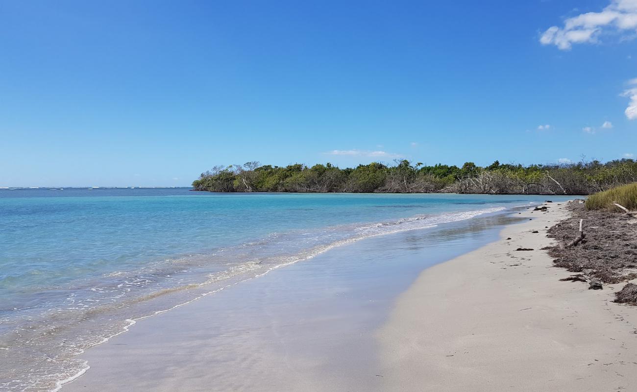 Foto de Playa Ballena con arena brillante superficie