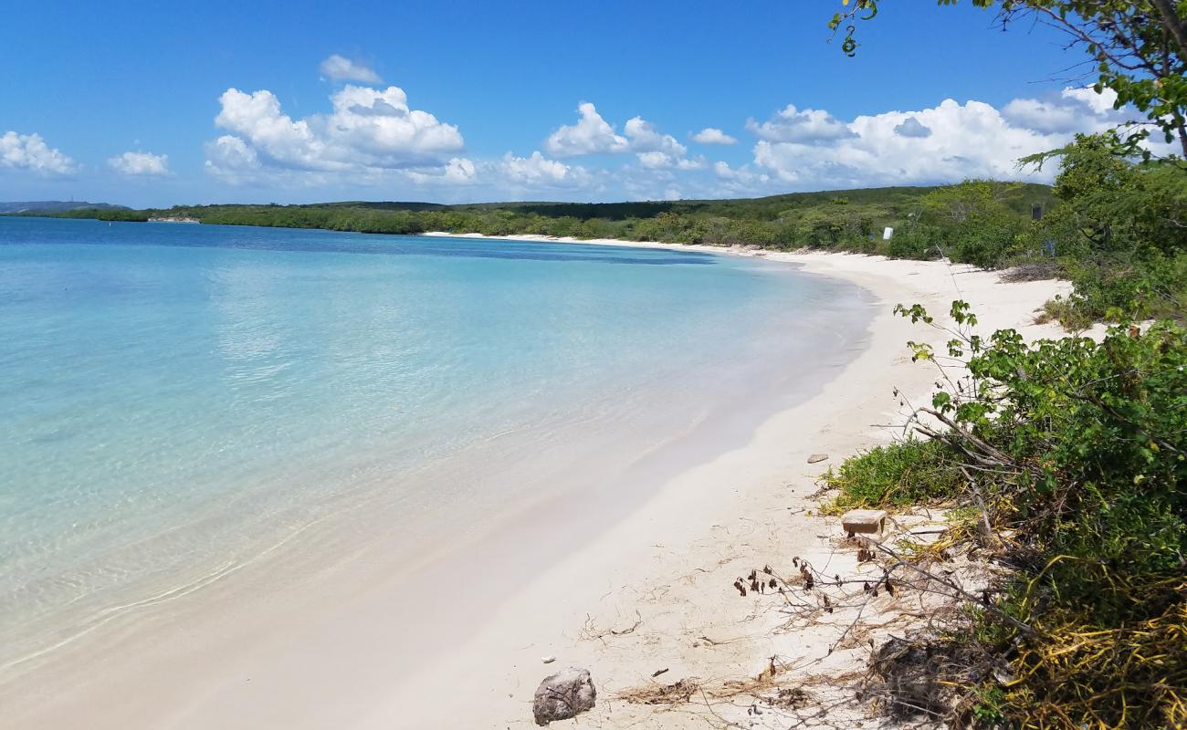 Foto de Playa La Jungla con brillante arena fina superficie