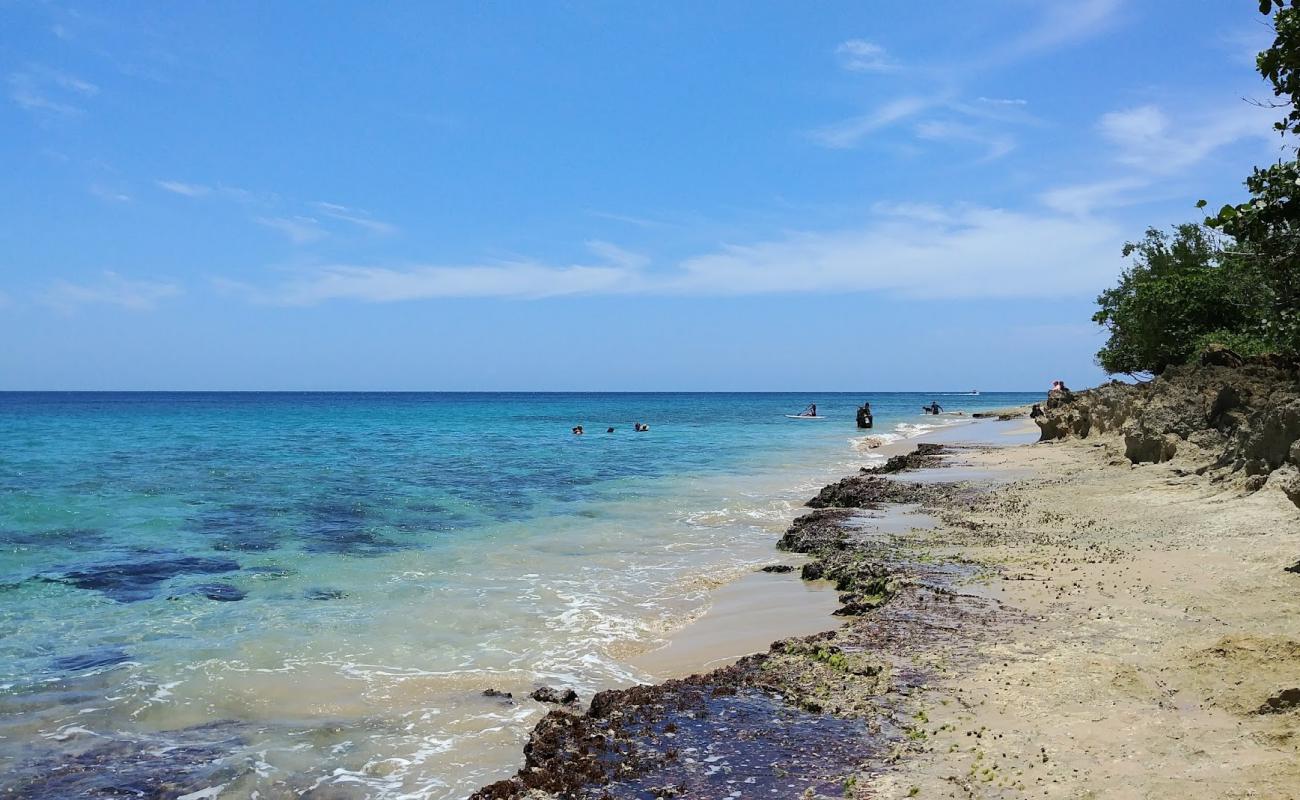 Foto de India beach con arena gris y piedras superficie