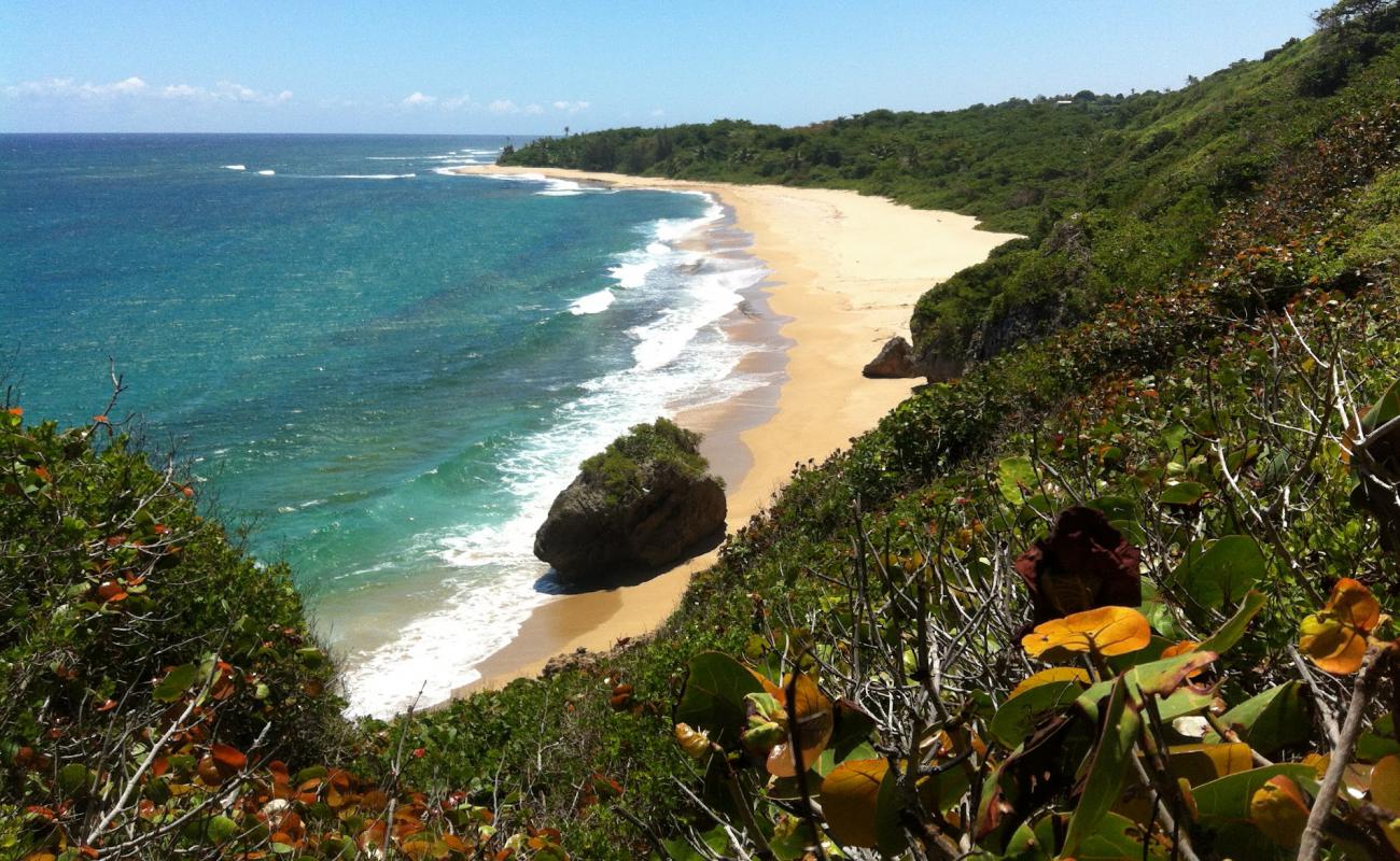 Foto de Playа Peña Martinica con piedra superficie