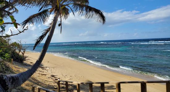 Shacks beach