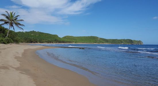 Playa Pastillo