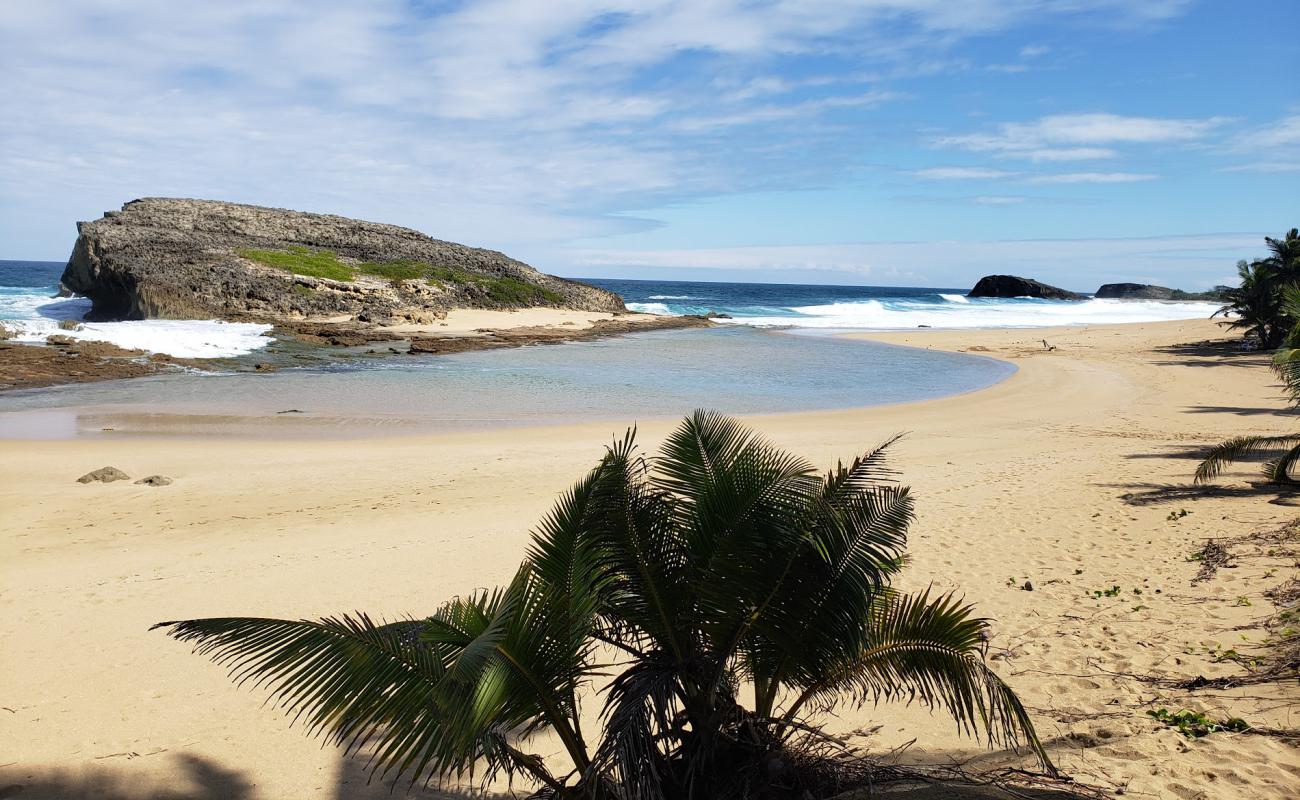 Foto de Arecibo beach con arena brillante superficie