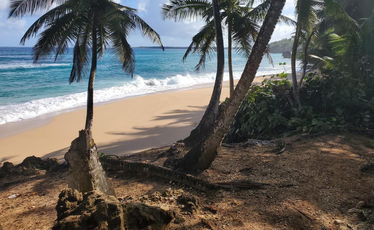 Foto de Escondida beach con arena brillante superficie