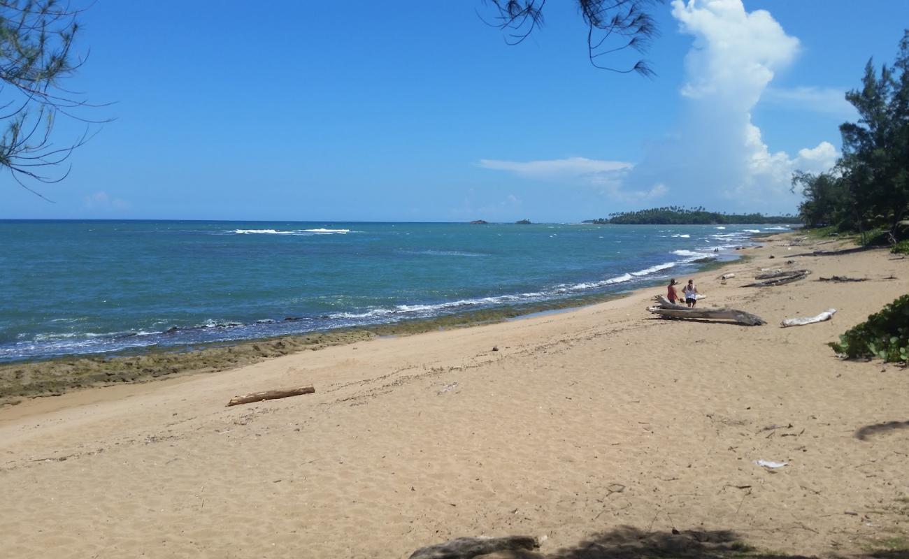 Foto de Playa de Vega Baja con arena brillante y rocas superficie