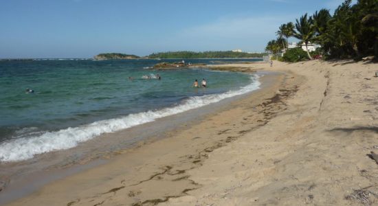 Playa Vega Alta