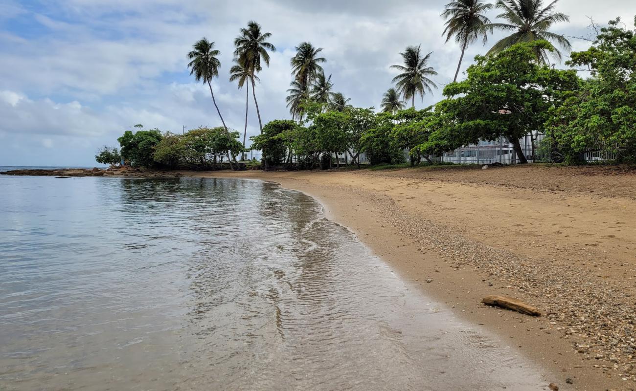 Foto de Playa Dorado del Mar con arena brillante superficie