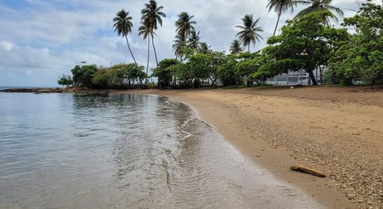 Playa Dorado del Mar