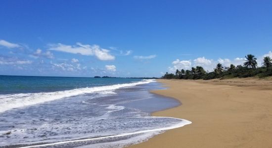 El Unico beach