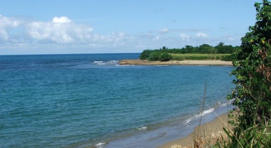 Playa Corozo