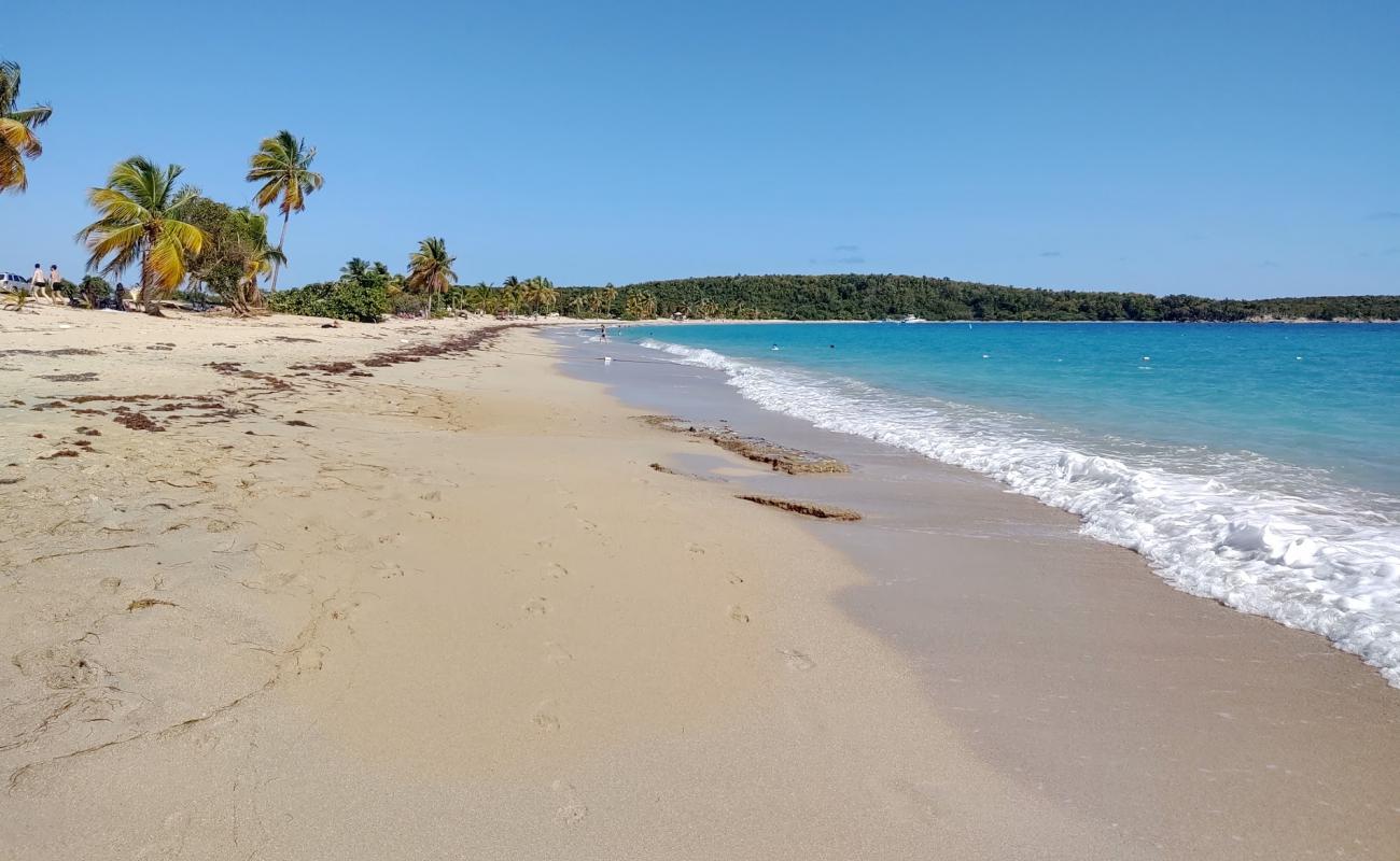 Foto de Playa Sun Bay con arena brillante superficie