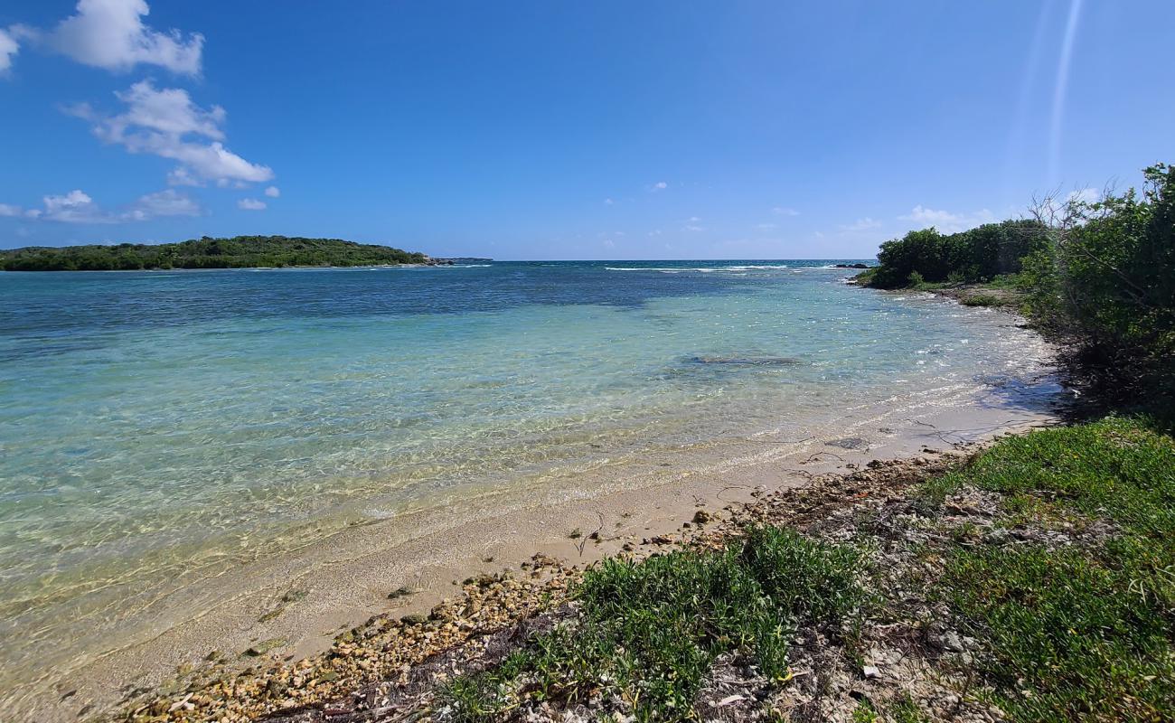 Foto de Blue beach con arena gris y piedras superficie