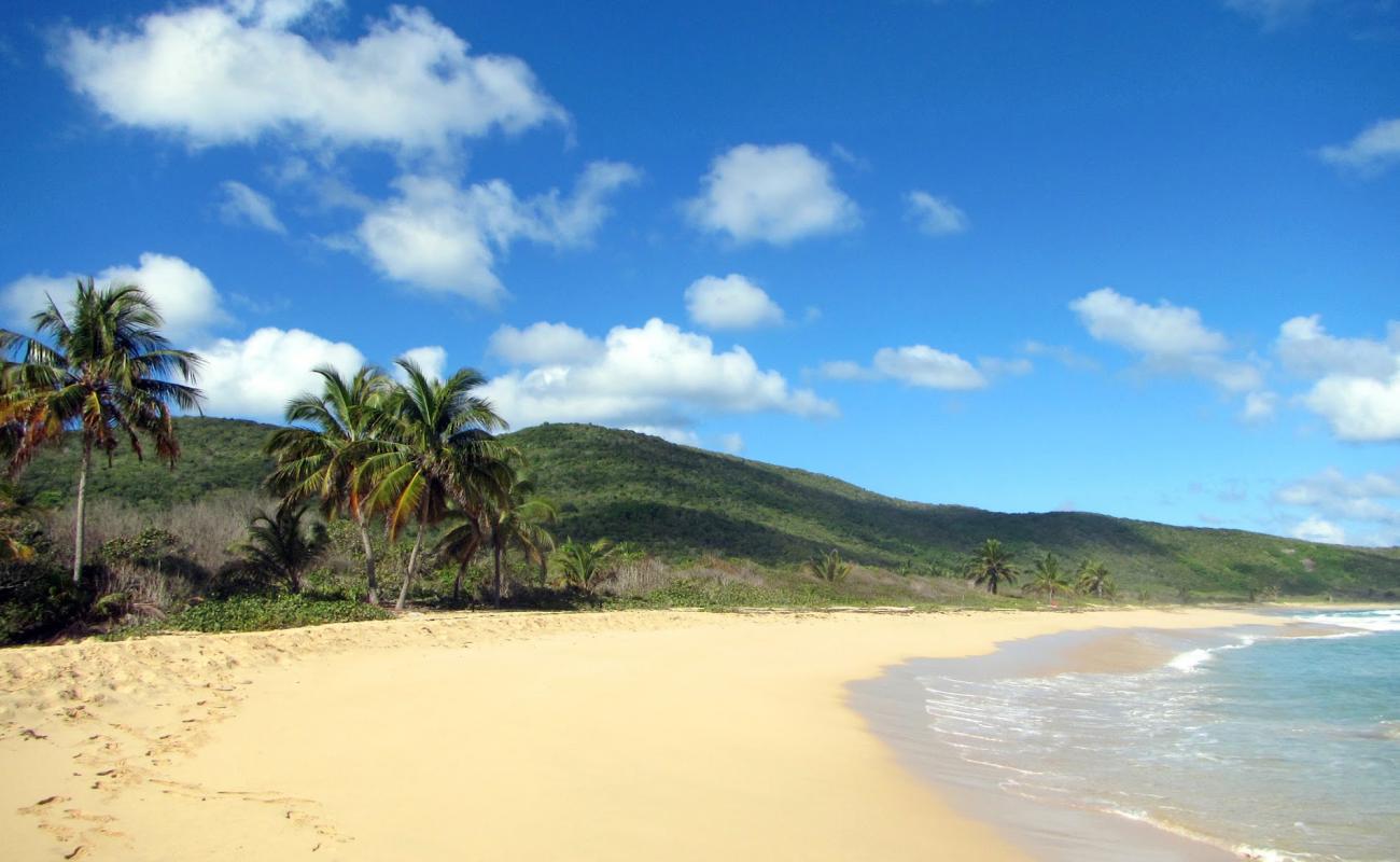 Foto de Playa Brava con arena brillante superficie