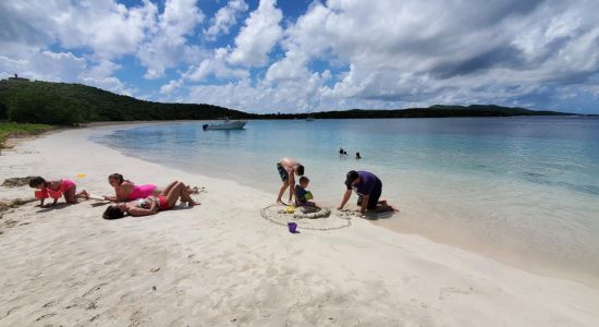 Culebrita beach