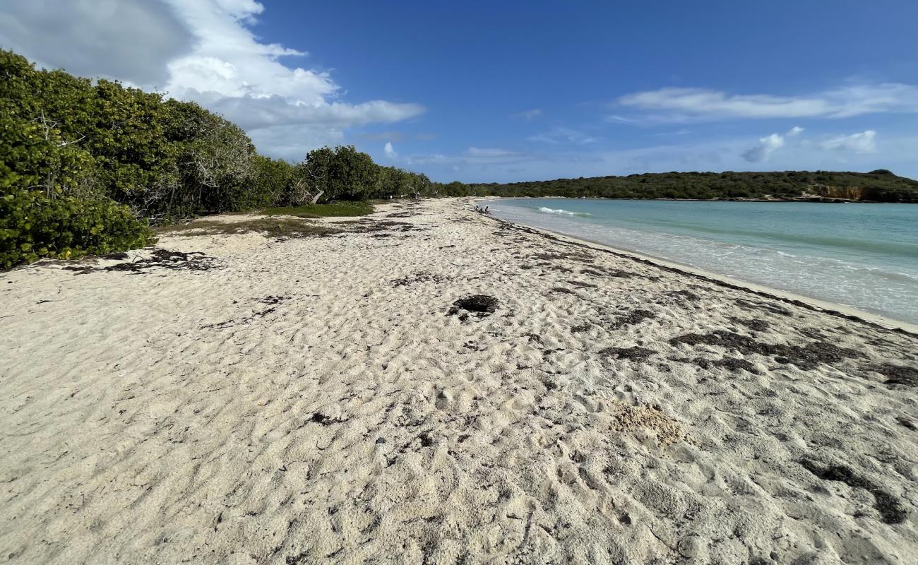 Foto de Playa Sucia con arena brillante superficie