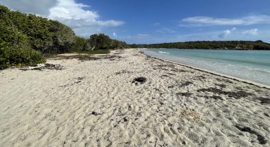 Playa Sucia