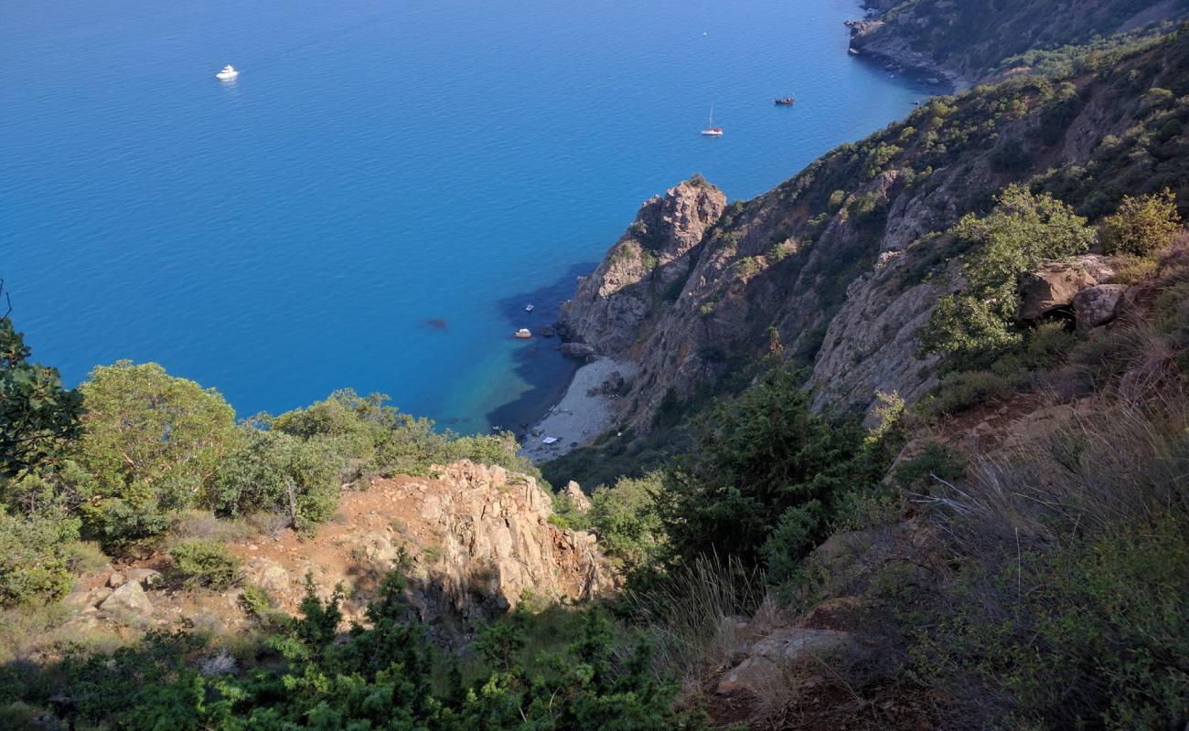 Foto de Ayu-Dag wild beach con piedra superficie