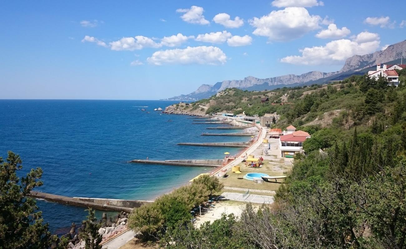 Foto de Ponizovka beach con guijarro gris superficie