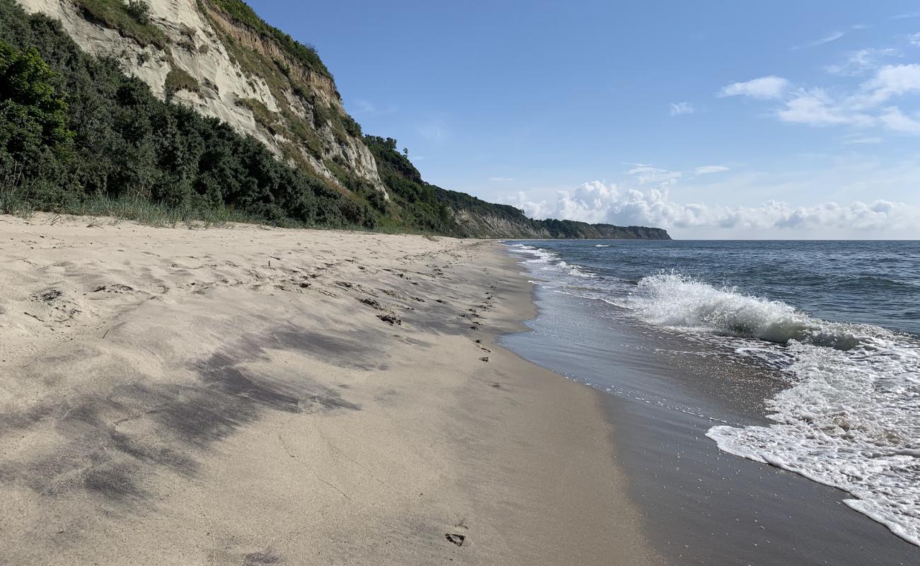 Foto de Donskoe Beach con arena brillante superficie