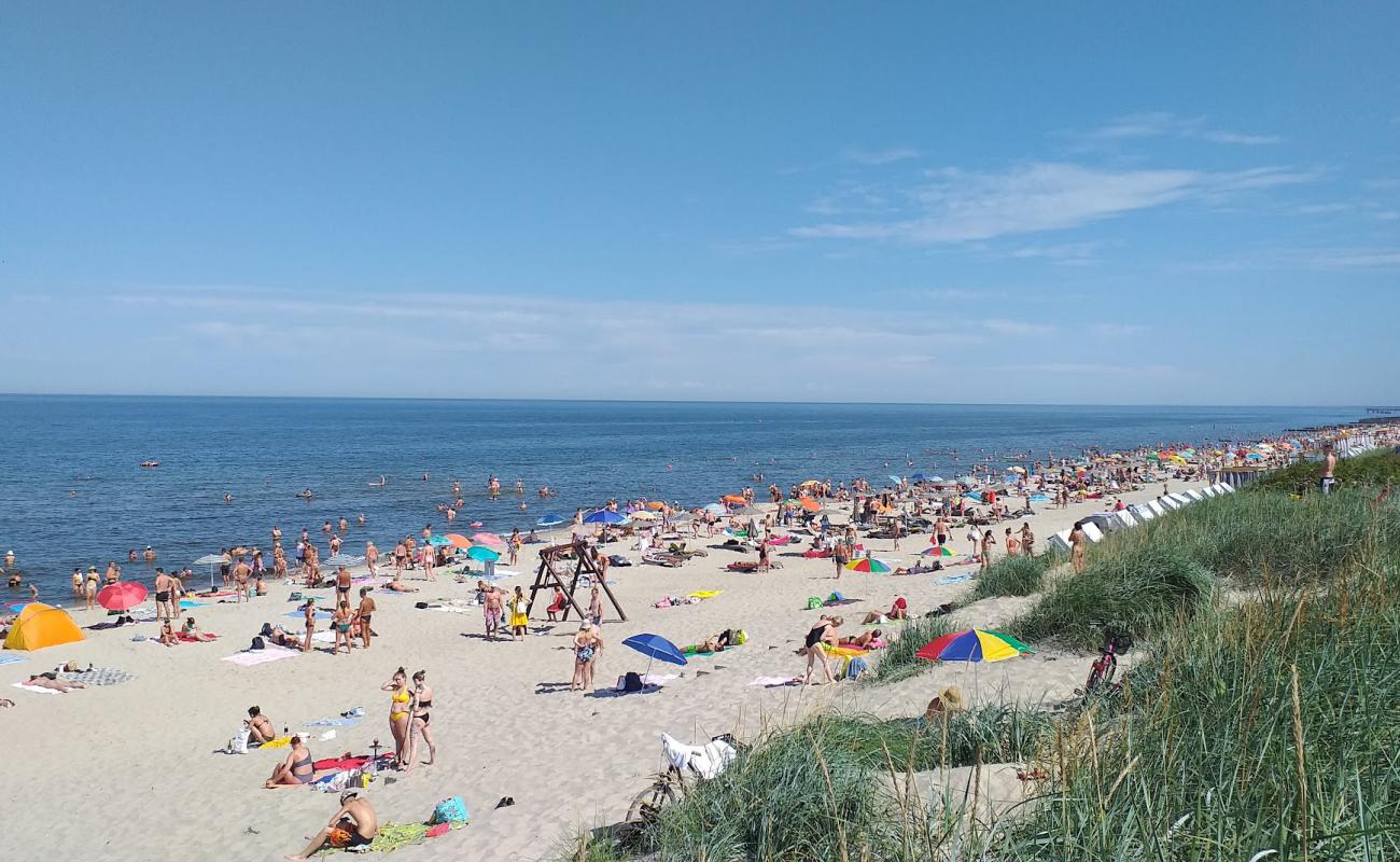 Foto de Zelenogradska Beach con arena brillante superficie