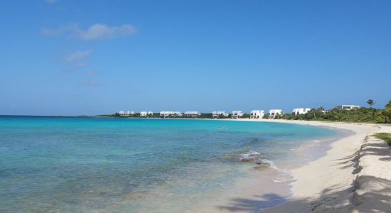 Playa de Shoal Bay