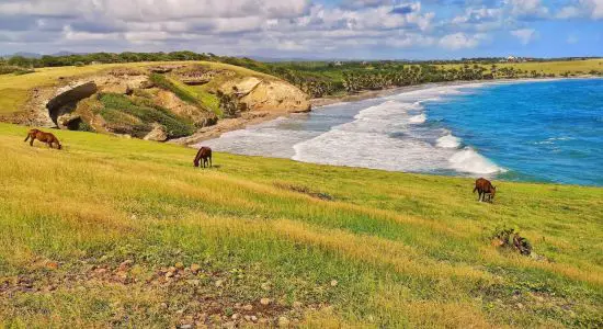 Honeymoon beach