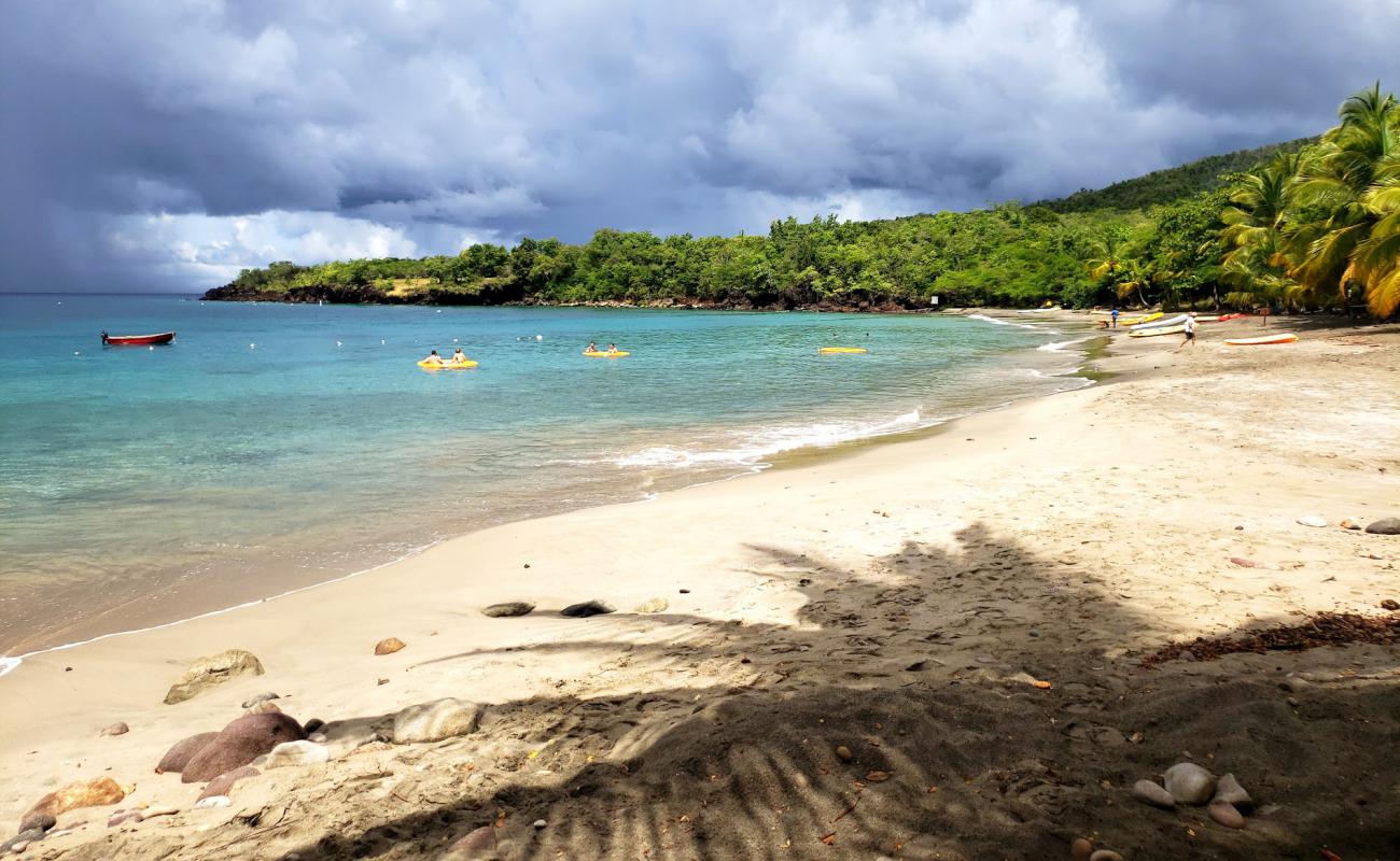 Foto de Anse Cochon beach con arena de concha brillante superficie