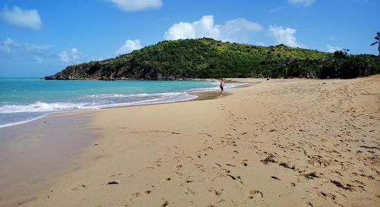 Plage de Happy Bay