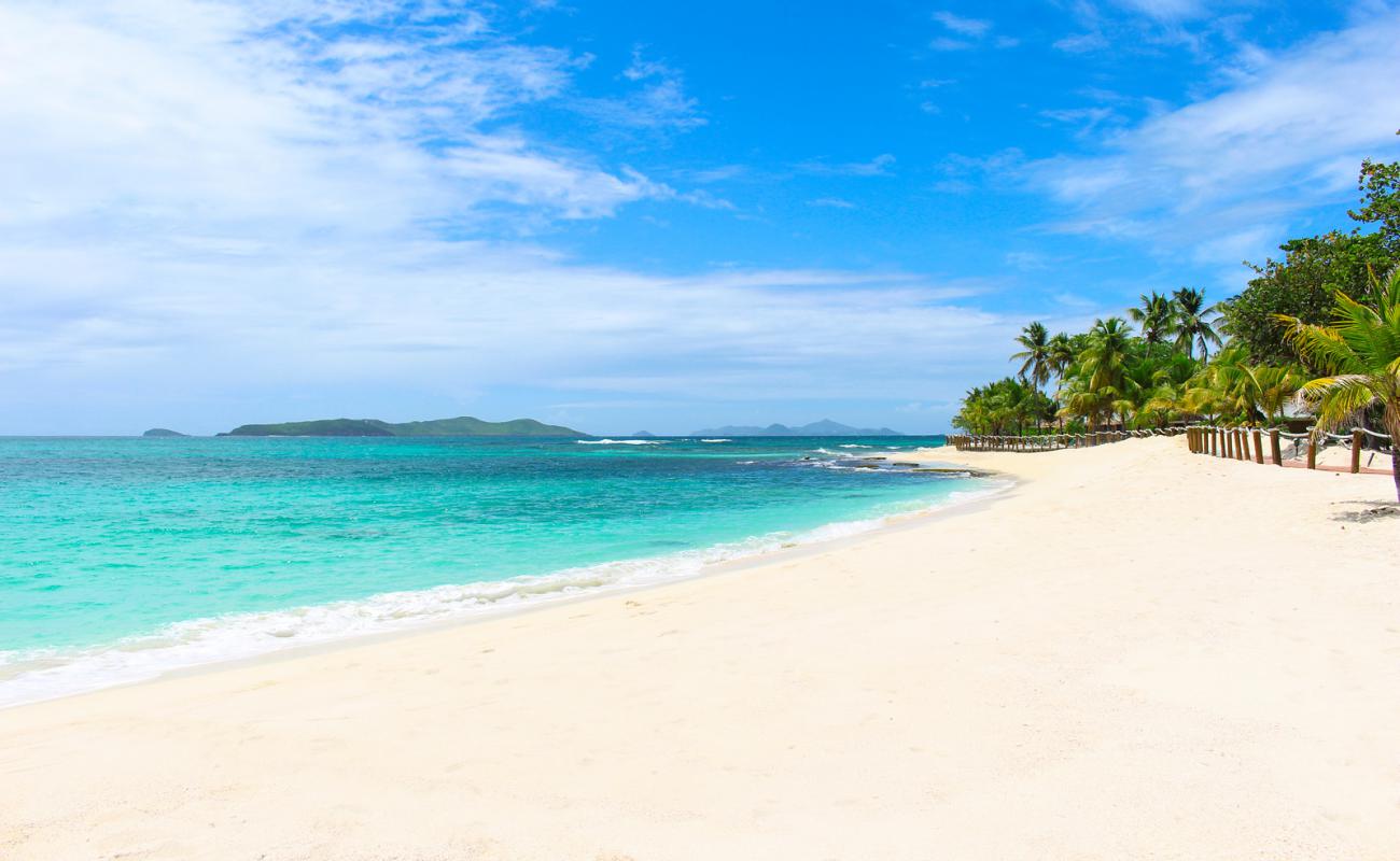 Foto de Playa de Palm Island con arena blanca superficie