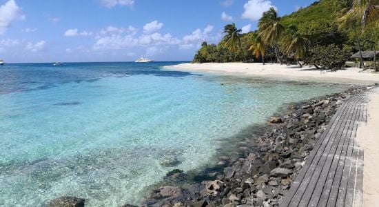 Playa Petit Saint Vincent