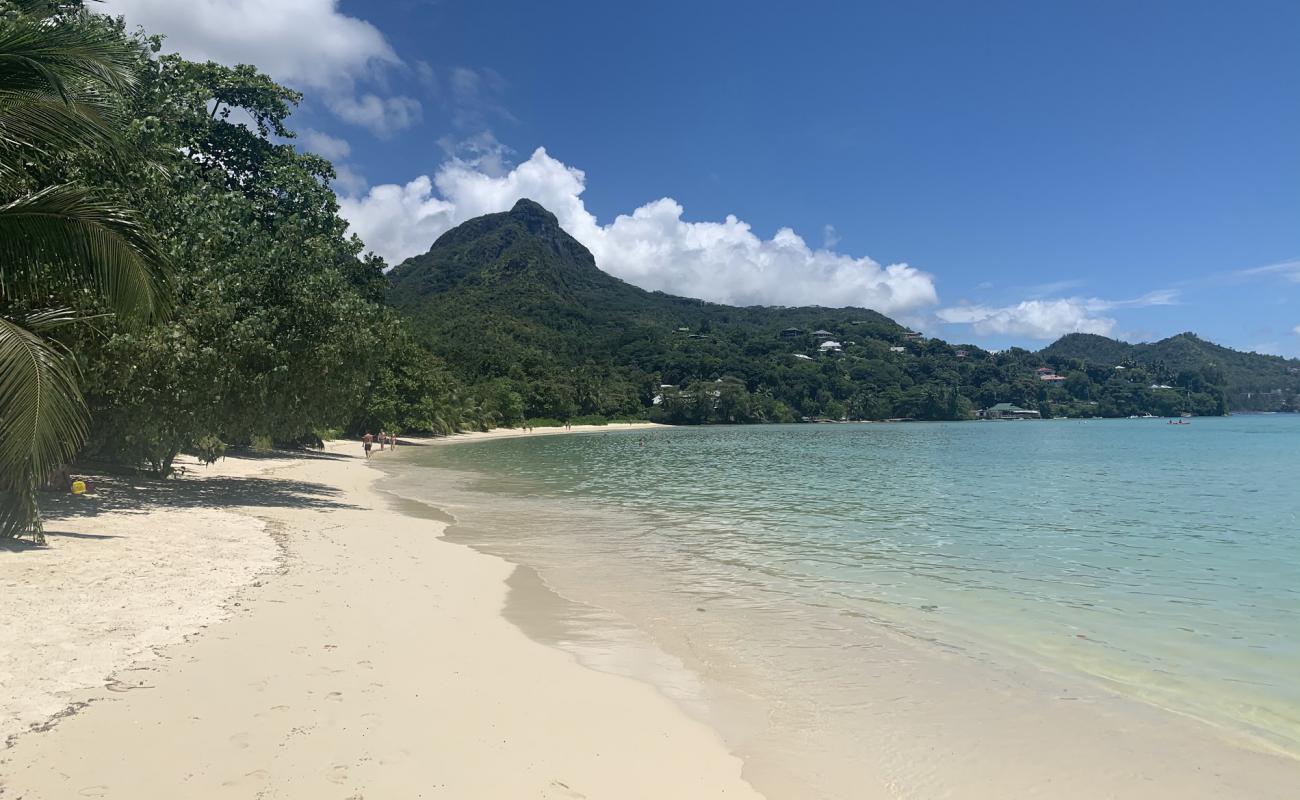 Foto de Playa de Port Launay con brillante arena fina superficie