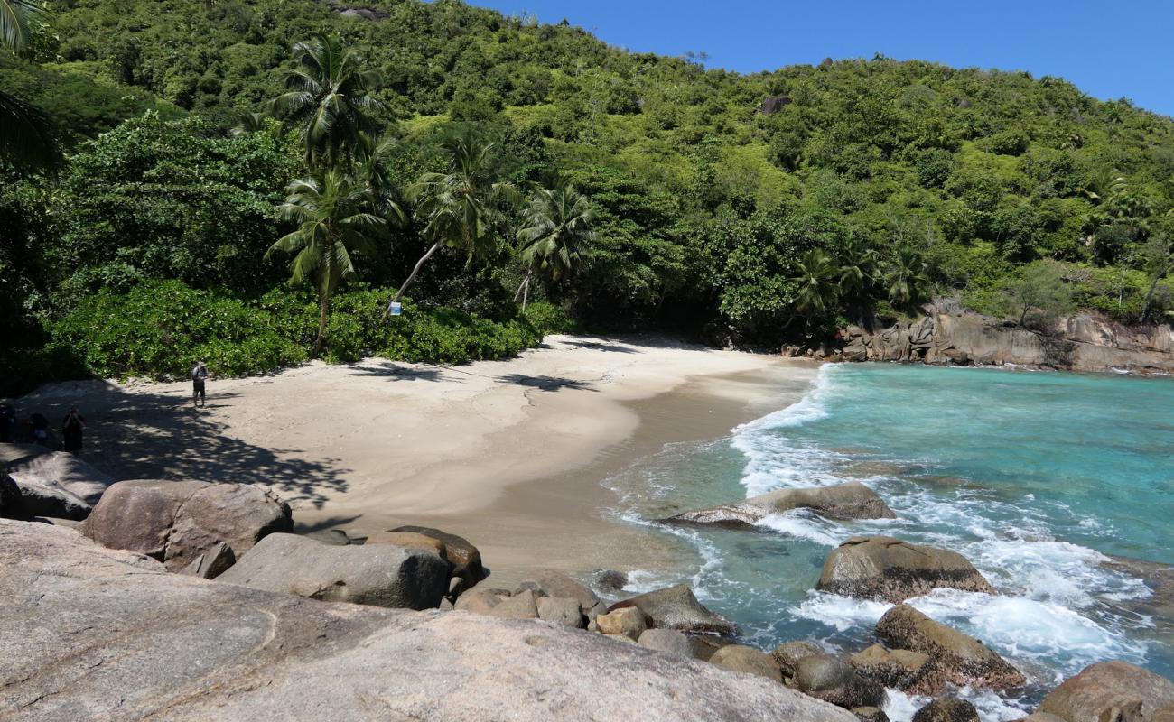 Foto de Anse Major Beach con brillante arena fina superficie