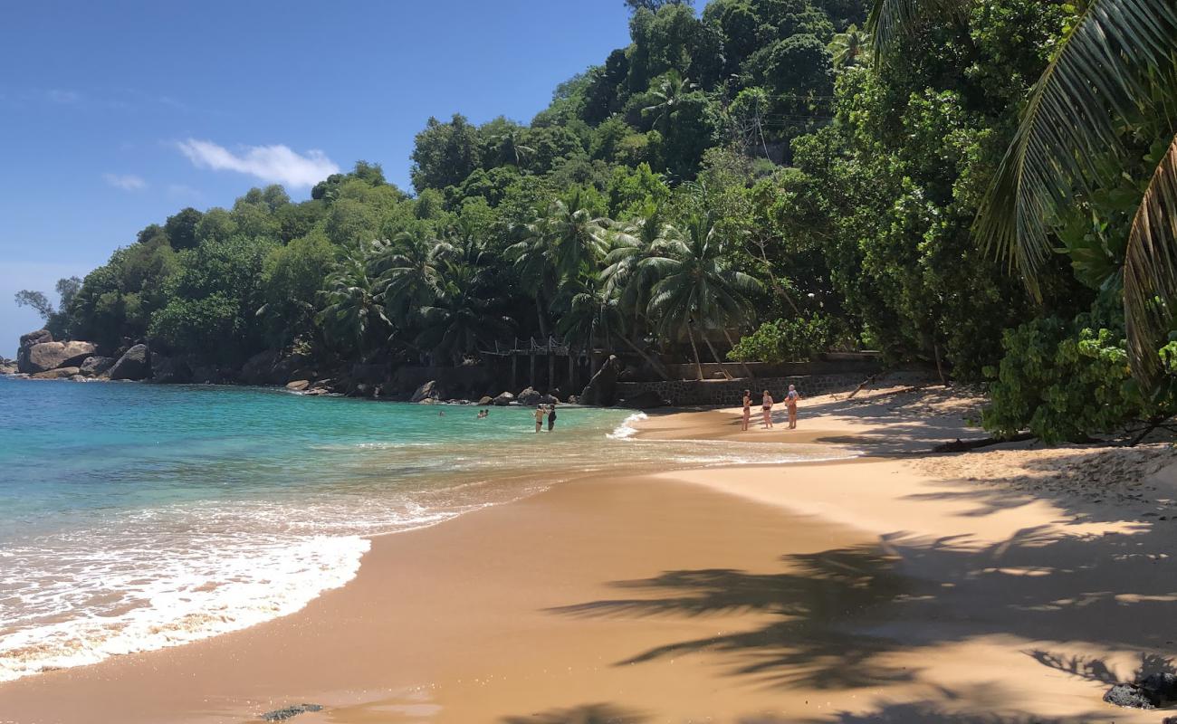 Foto de Playa Top Soleil con brillante arena fina superficie