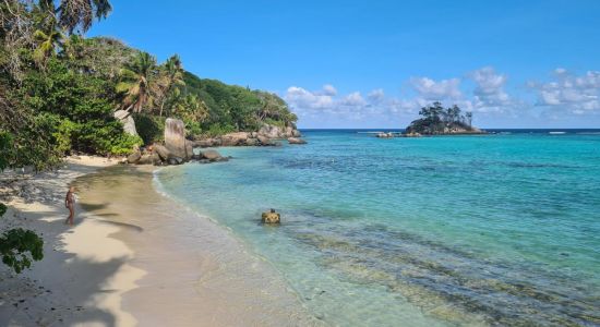 Anse Royale Beach