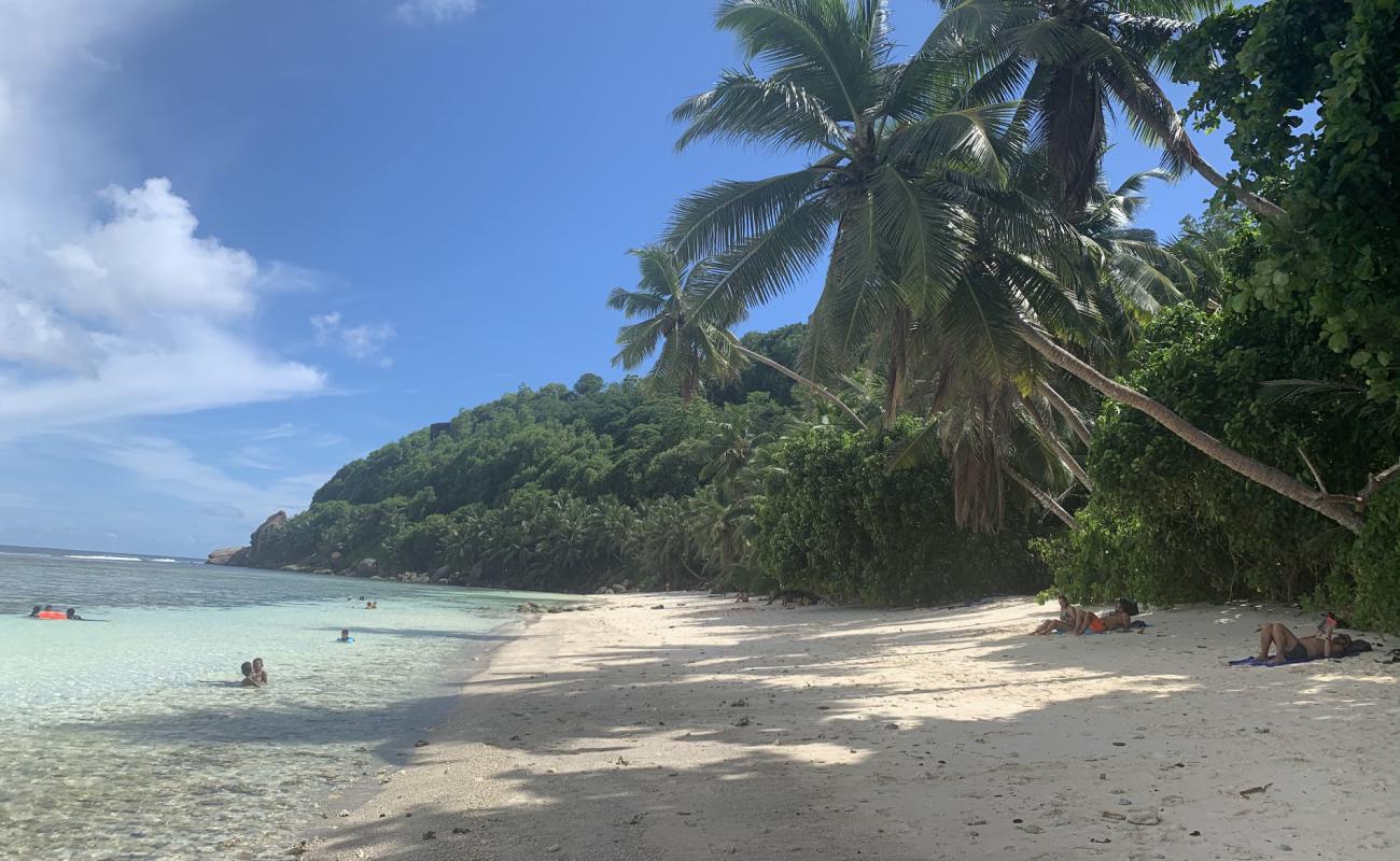 Foto de Anse Parnell Beach con brillante arena fina superficie