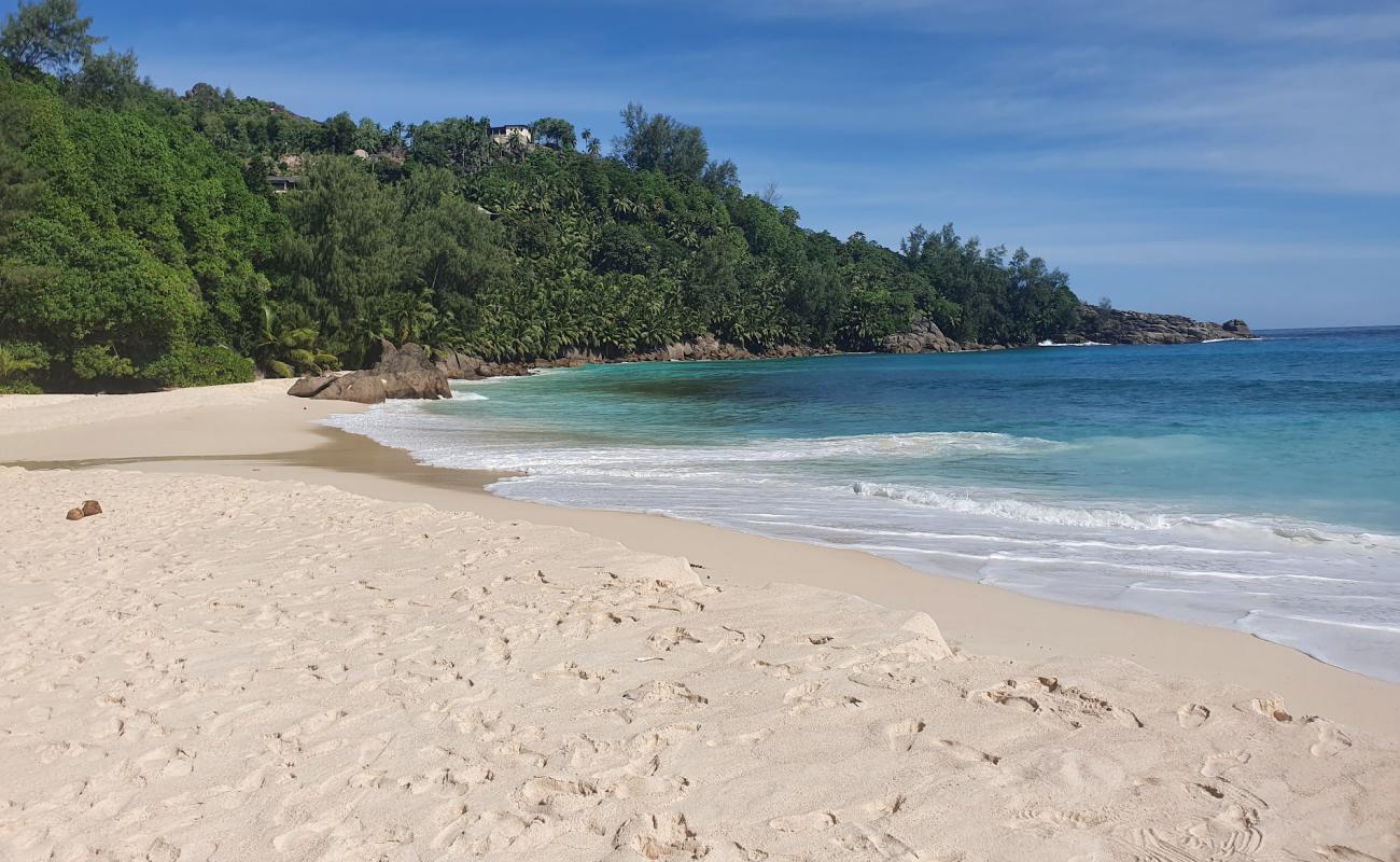 Foto de Anse Forbans Beach con brillante arena fina superficie