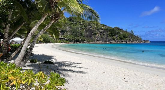 Playa Petite Anse