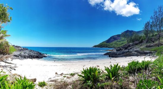 Anse Simetiere Beach