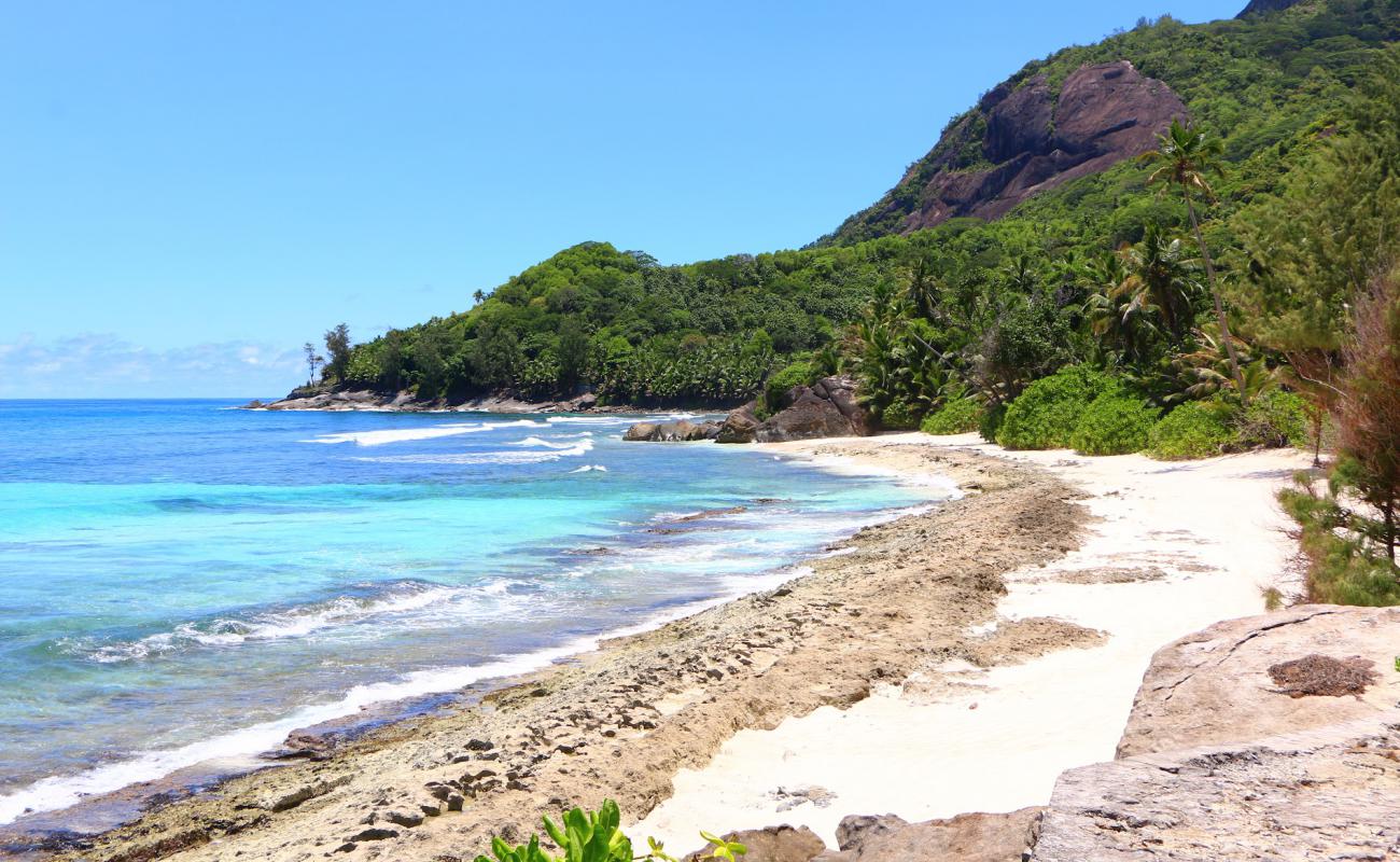 Foto de Anse Lascars con arena brillante superficie