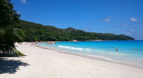 Playa Anse Lazio