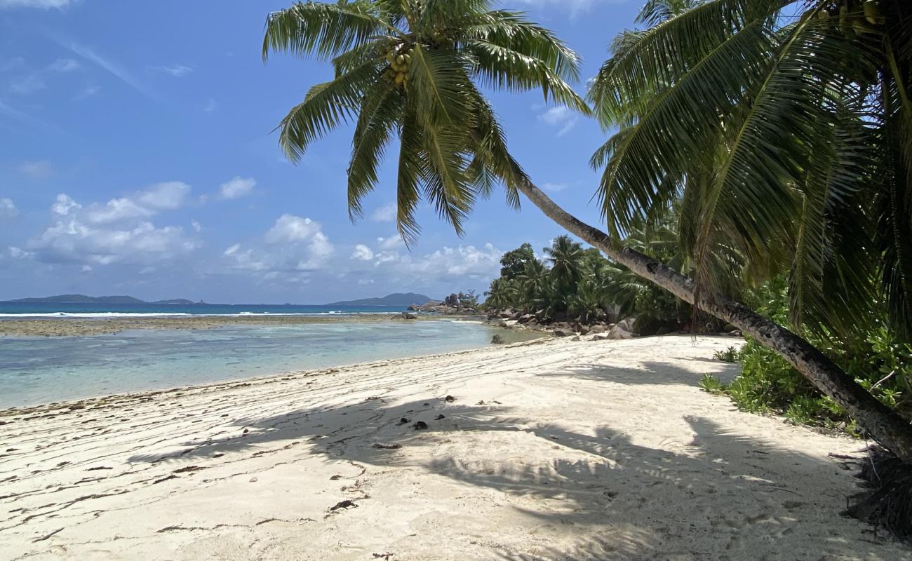 Foto de Anse La Blague Beach con arena brillante superficie