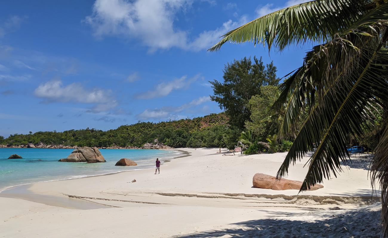 Foto de Anse Marie Louise Beach con arena brillante superficie