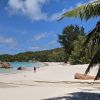 Anse Marie Louise Beach