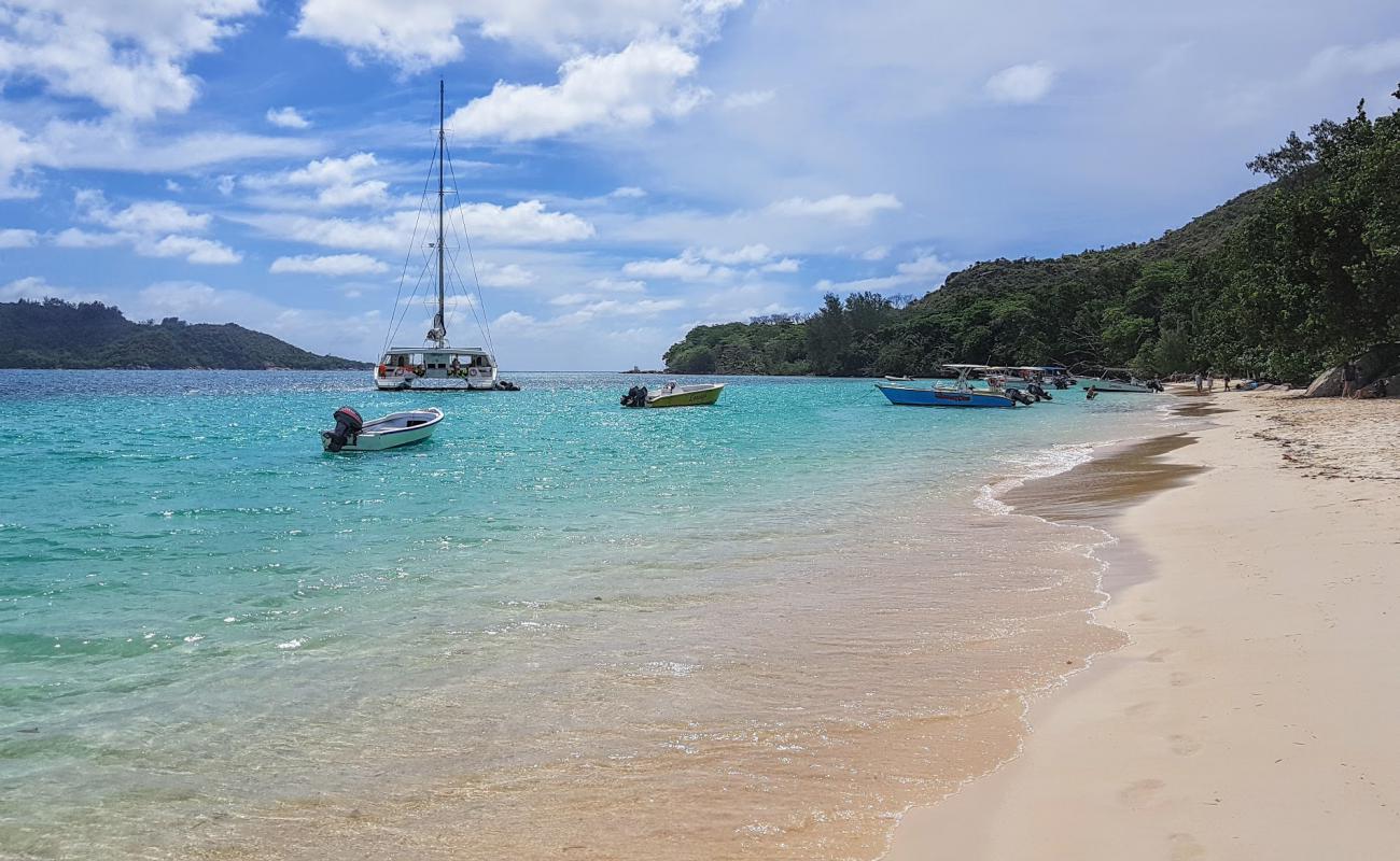 Foto de Playa Anse St. Jose con brillante arena fina superficie